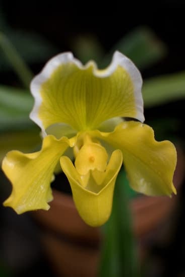 Step-by-step guide on how to start a party decorating business from home - a beginner's ultimate manual