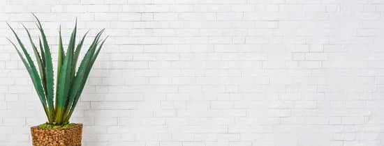 Home decorator arranging furniture and choosing color schemes to enhance living spaces