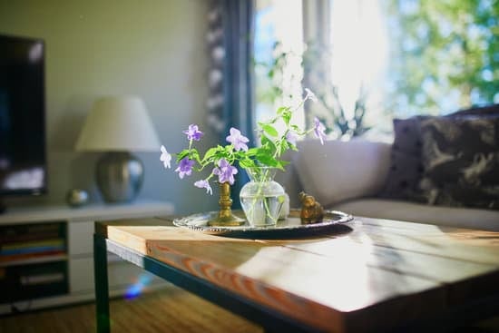 Step-by-step guide: How to decorate my home with plants