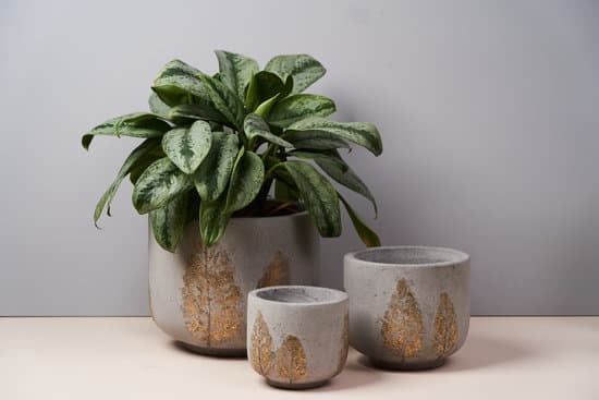 How to Decorate a Vacation Rental Home 1 Step-by-step guide: How to Decorate a Vacation Rental Home