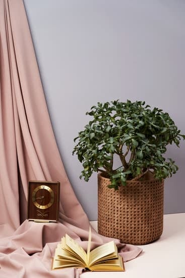 Discover unique home decor at ABC Home, the best store for home decor