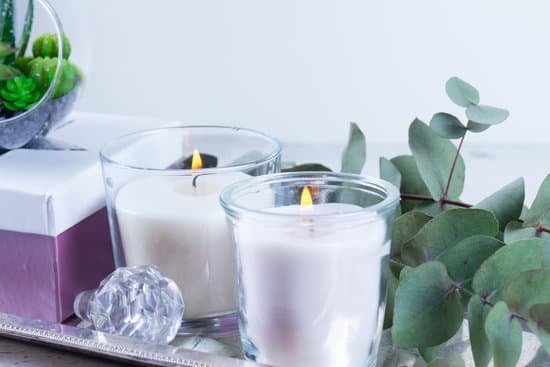 How to decorate plants in home: A guide to bringing greenery into your living space