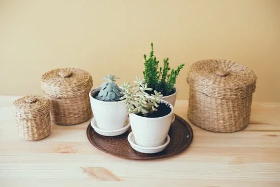 2022 Home Decor Trends: Popular colors for interior design, including WHAT COLORS ARE IN STYLE FOR HOME DECOR 2022