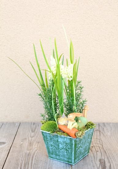 Step-by-step guide on how to decorate fish aquarium at home with live plants and natural decorations