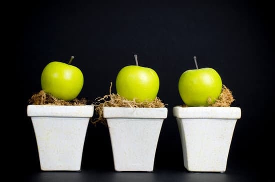 Step-by-step guide on how to decorate your home for Christmas with festive DIY decor