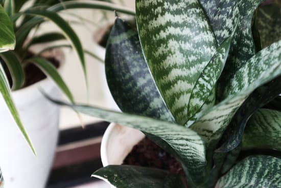 Discover WHERE TO BUY COOL HOME DECOR - Shop online for unique and stylish home accessories