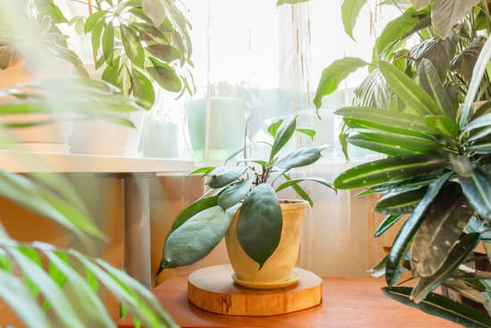 Stylish and Affordable: Is Shein Home Decor Good for Your Space