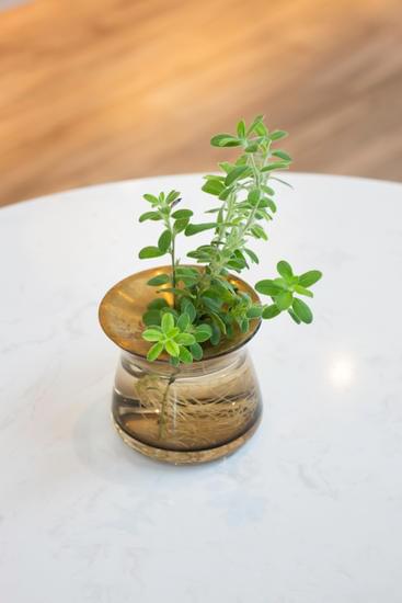 Step-by-step guide on how to decorate Janmashtami at home using traditional and colorful decor