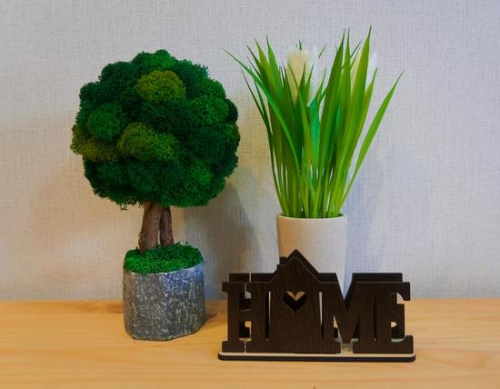 How to Decorate Christmas Tree at Home: Step-by-step guide to create a festive holiday centerpiece