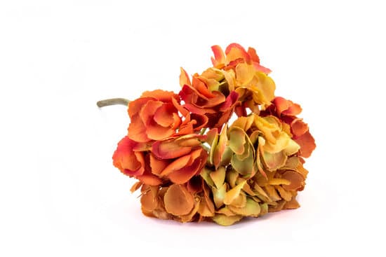 How to Decorate a Home Foyer: Tips for Creating a Welcoming Entrance