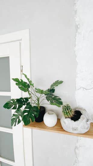 Vignette: A curated arrangement of decor items to create a focal point in home design