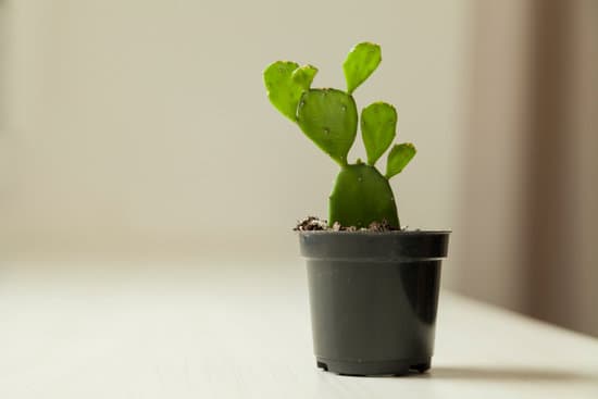 How to Use Old Clothes for Home Decoration 1 Creative Ways: How to Use Old Clothes for Home Decoration - DIY Upcycling Ideas