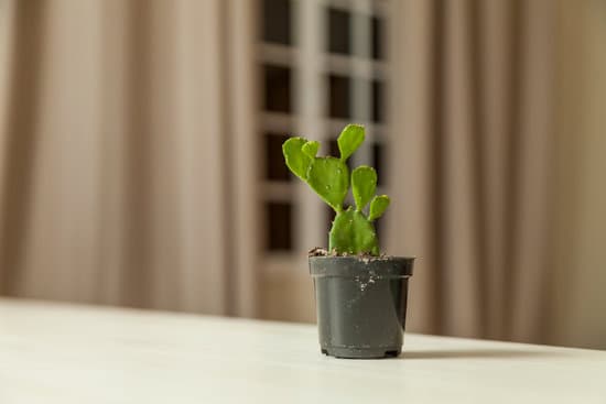 Haven Decorative Pillow by KAF Home: Elegant and cozy accent for any room