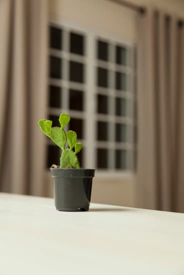 Where to Sell Home Decor Items 1 Where to sell home decor items: 5 online platforms for home decor sellers