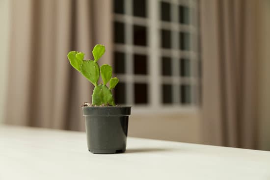 Find the best marketplaces to sell used home decor online