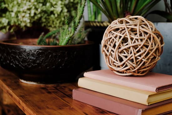 How to Train Your Dragon themed home decor featuring dragons and Viking-inspired designs