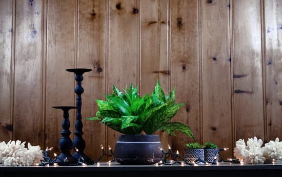 How to Start a Cake Decorating Business From Home 1 Step-by-Step Guide: How to Start a Cake Decorating Business from Home