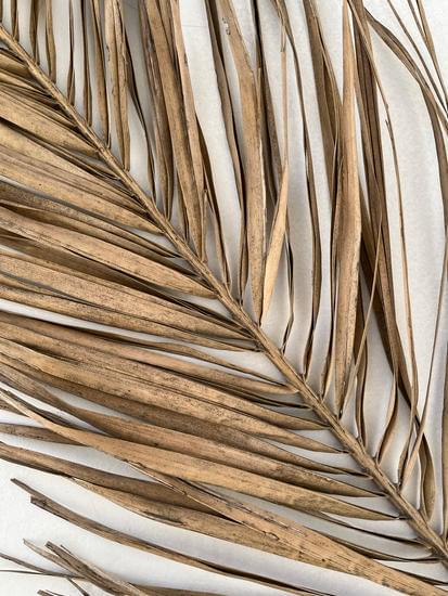 Explore local boutiques for unique home decor pieces