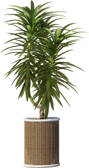 How to Decorate Home for Christmas Outdoor 1 Outdoor Christmas decor ideas: How to decorate home for Christmas with festive outdoor displays