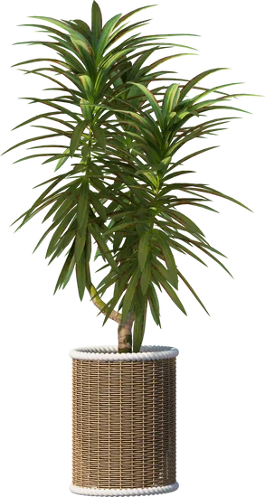 Outdoor Christmas decor ideas: How to decorate home for Christmas with festive outdoor displays
