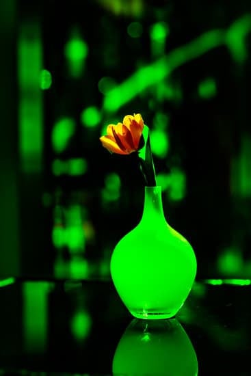 What's Trending in Home Decor 2022: A Guide to the Latest Design Trends