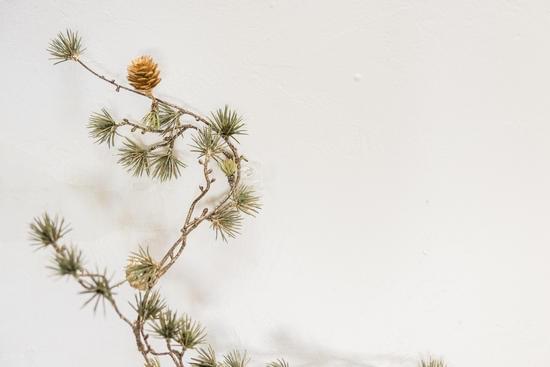 What Time Does Home Decor Open 1 Home Decor opens at 10 AM, Monday to Saturday – closed on Sundays