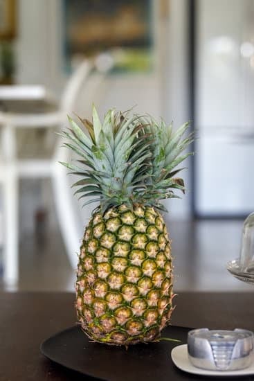 How Do the French Decorate Their Homes for Christmas 1 Traditional French Christmas Decor: A Guide to Festive Home Decorating - HOW DO THE FRENCH DECORATE THEIR HOMES FOR CHRISTMAS