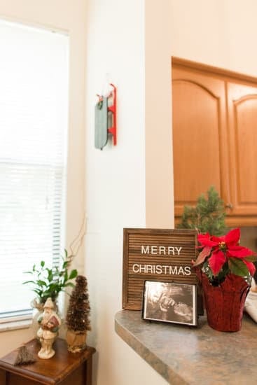 How to Decorate a Flower Pot at Home 1 Step-by-step guide: How to decorate a flower pot at home with unique designs and patterns