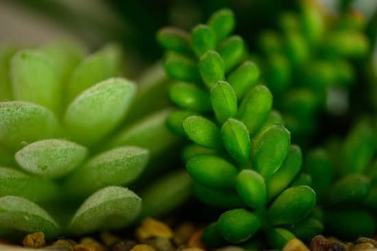 How to Decorate Aarti Thali at Home: Step-by-Step Guide and Tips