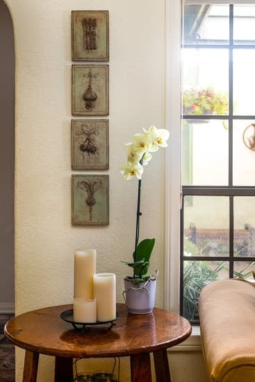 Stylish and modern new trends in home decor, including sustainable and minimalist designs