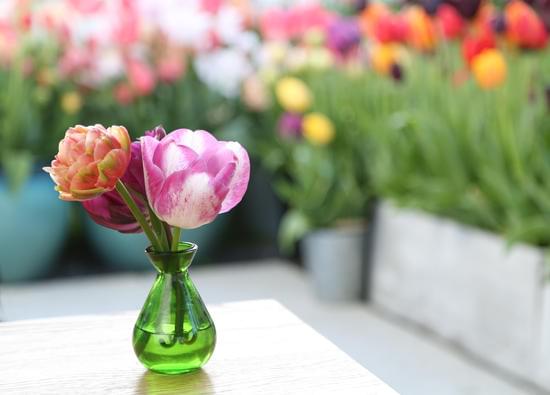 How to Decorate a Home Theater Room: Cozy seating, ambient lighting, and sleek decor create a cinematic oasis