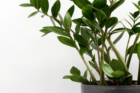 Haven Home Decor Letter Board 1 Haven Home Decor Letter Board: Stylish quote display for personalized home decor