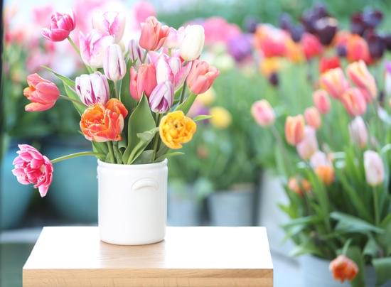 Where Is the Best Place to Buy Home Decor 1 Finding the best place to buy home decor is easy with these tips