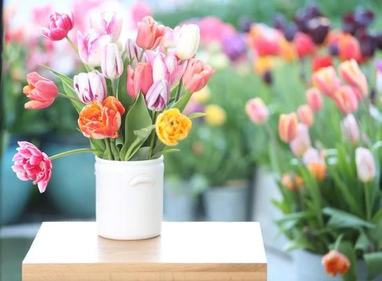 Finding the best place to buy home decor is easy with these tips