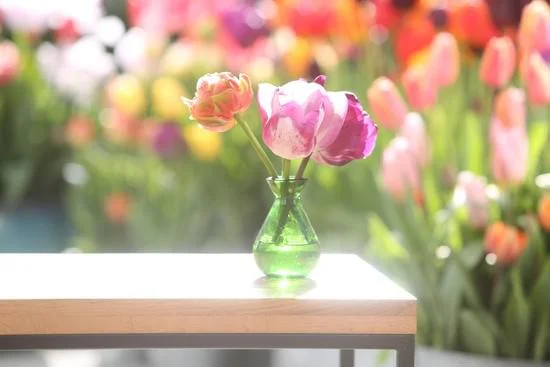 Must-have home decor items on Amazon: stylish rugs, trendy throw pillows, and elegant wall art