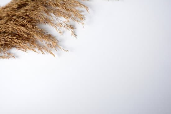 How to Decorate Home for Hanukkah 1 Step-by-step guide on how to decorate home for Hanukkah with traditional and modern decor