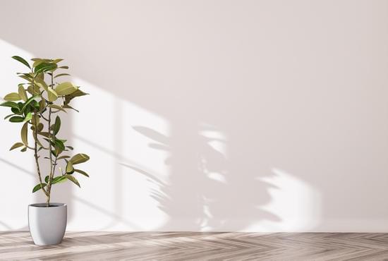 Step-by-step guide on how to decorate a mobile home for Christmas