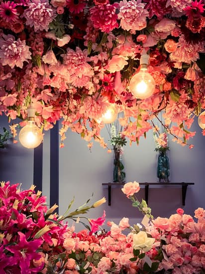 Home Decorators ceiling fans manufacturers, creating stylish and functional designs for your home