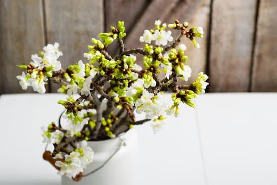 Care Instructions for Home Decor Fabric: Can You Safely Wash and Maintain Its Quality