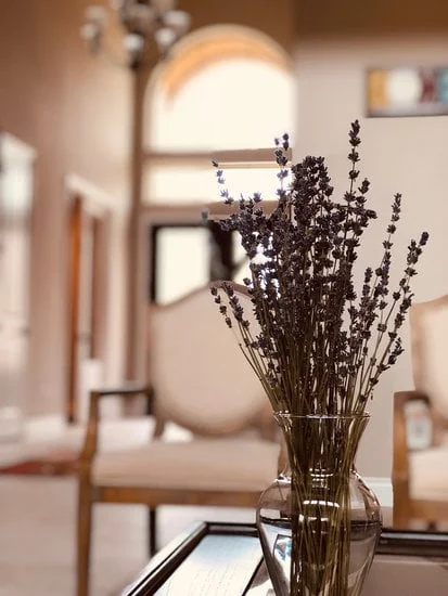 Discover the Free Insider Perks for At Home Decor Store for Exclusive Benefits