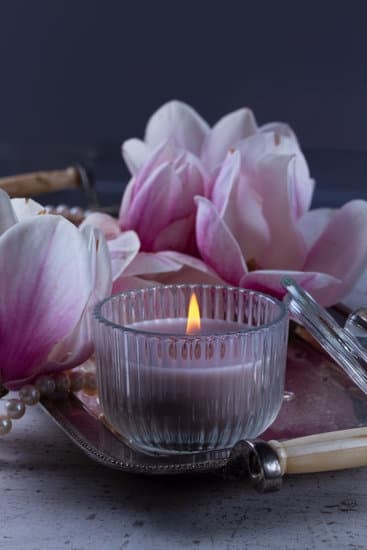 Mayan home decor: from intricate murals to vibrant textiles and ornate pottery. Did Mayans decorate their homes