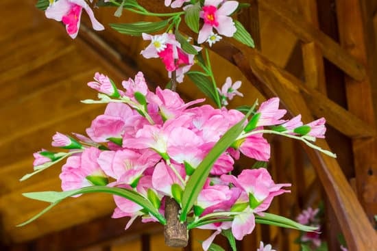 Minimalist decor prevents clutter in a home