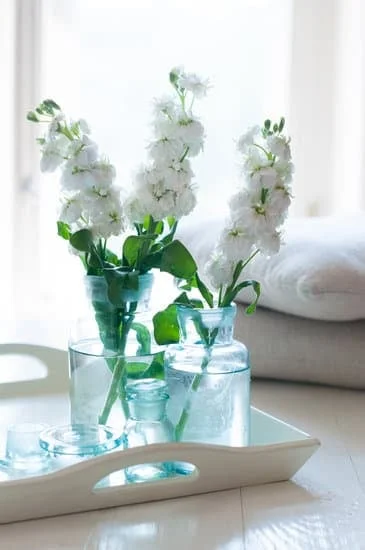 Different styles of home decorating: Traditional, Modern, Bohemian, Minimalist, Rustic, Mediterranean, Industrial, and Scandinavian