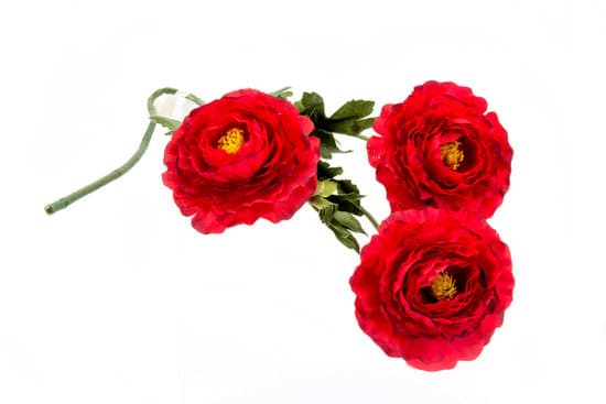 Consider using Where to buy paintings for home decoration: Explore local art galleries and online art marketplaces