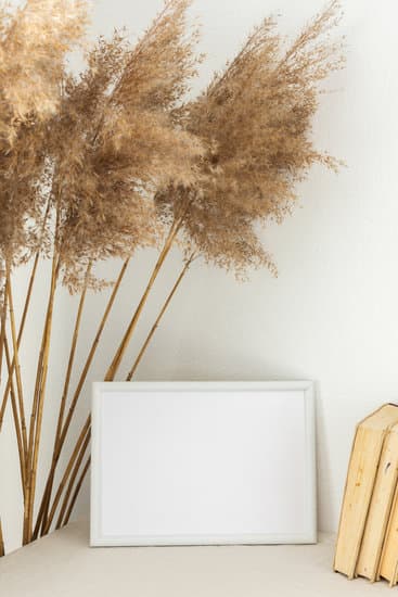 What's Trending in Home Decor 2023: Bold Colors, Sustainable Materials, and Minimalist Design