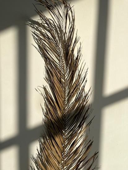 Stylish home decor: Mixing copper and brass accents for a modern touch