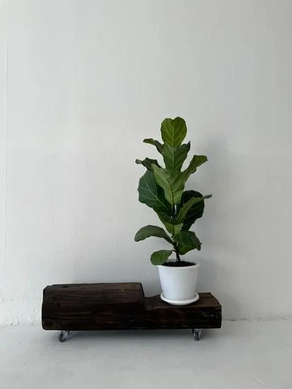 Stylish A&B Home Wall Decor for Elevating Your Interiors