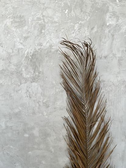 What is new in home decorating: 10 trendy decor ideas to try now
