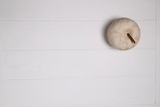 Hand-painted ARE BIRDS BAD LUCK HOME DECOR adds charm to any space