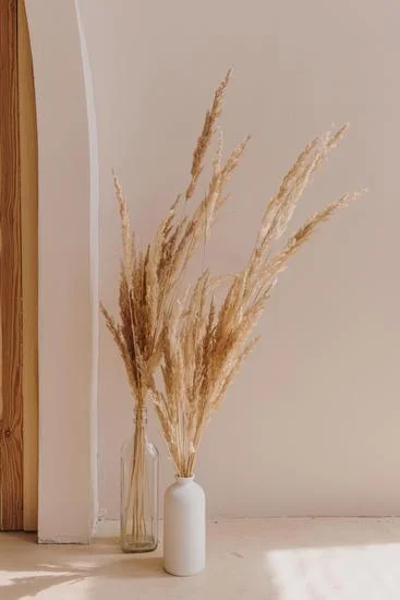 Home Decorators, a brand owned by Home Depot, offers stylish home decor options